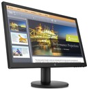 Monitor 20.7" HP P21b G4 czarny