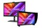 Monitor 31.5" ASUS ProArt PA32DC czarny