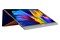 Monitor 13.3" ASUS ZenScreen MQ13AH szary