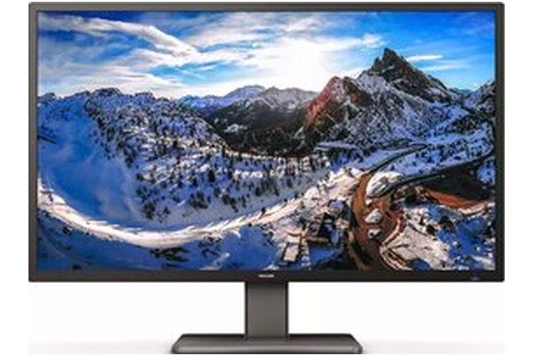 Monitor 42.5" Philips P-Line 439P1/00 czarny