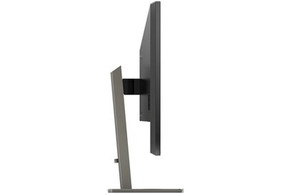 Monitor 42.5" Philips P-Line 439P1/00 czarny