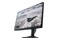Monitor 24.5" DELL AW2524HF czarny