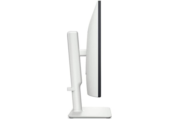 Monitor 23.8" DELL S2425HS czarno-biały