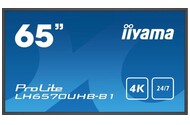 Monitor 64.5" IIYAMA LH6570UHB-B1 czarny
