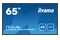 Monitor 64.5" IIYAMA LH6570UHB-B1 czarny