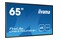 Monitor 64.5" IIYAMA LH6570UHB-B1 czarny