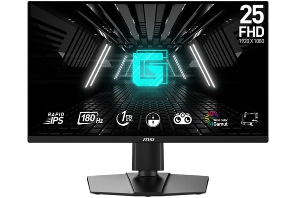 Monitor 24.5" MSI G255PF czarny