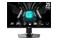 Monitor 24.5" MSI G255PF czarny