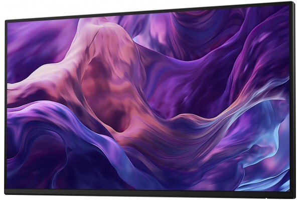 Monitor 23.8" DELL P2425HEWO czarny