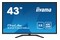Monitor 42.5" IIYAMA X4373UHSU-B1 czarny
