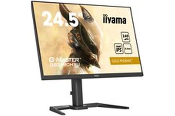 Monitor 24.5" IIYAMA GB2590HSU-B5 czarny
