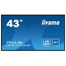 Monitor 42.5" IIYAMA LE4341UHS-B1 czarny