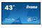 Monitor 42.5" IIYAMA LE4341UHS-B1 czarny