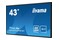 Monitor 42.5" IIYAMA LE4341UHS-B1 czarny