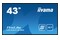 Monitor 42.5" IIYAMA LE4341S-B2 czarny