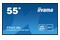Monitor 54.6" IIYAMA LH5541UHS-B2 czarny