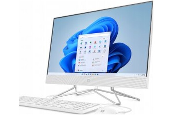 HP 24-df1063ur 8GB DDR4 250GB SSD Windows 11 Home