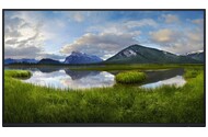 Monitor 23.8" DELL P2425HE czarny