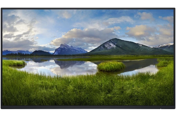 Monitor 23.8" DELL P2425HE czarny