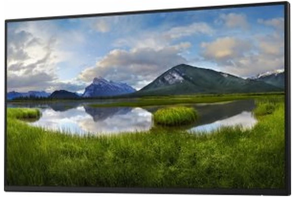 Monitor 23.8" DELL P2425HE czarny