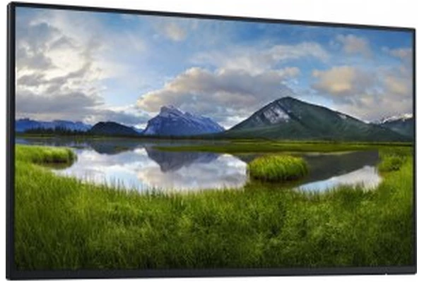 Monitor 23.8" DELL P2425HE czarny