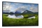 Monitor 23.8" DELL P2425HE czarny