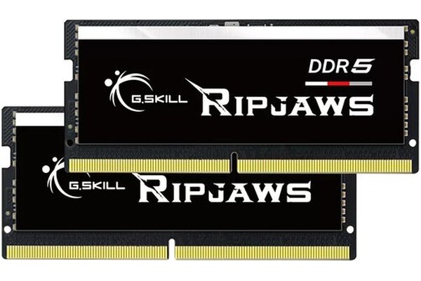 Pamięć RAM G.Skill Ripjaws 64GB DDR5 4800MHz 1.1V 38CL