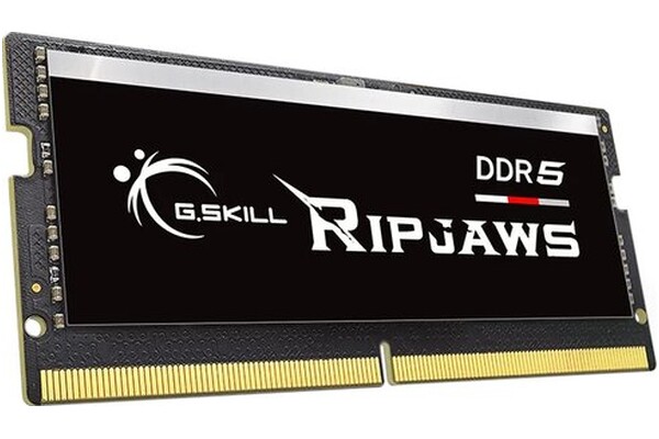 Pamięć RAM G.Skill Ripjaws 64GB DDR5 4800MHz 1.1V 38CL