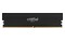 Pamięć RAM Crucial Pro 16GB DDR5 6000MHz Z radiatorem 1.35V 36CL
