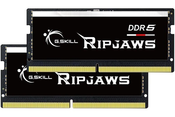Pamięć RAM G.Skill Ripjaws 64GB DDR5 4800MHz 1.1V 40CL