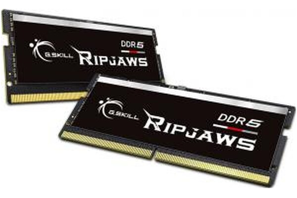 Pamięć RAM G.Skill Ripjaws 64GB DDR5 4800MHz 1.1V 40CL