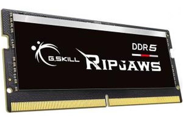 Pamięć RAM G.Skill Ripjaws 64GB DDR5 4800MHz 1.1V 40CL