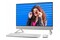 DELL Inspiron 27 16GB DDR4 2GB Windows 11 Home
