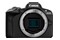 Aparat bezlusterkowy CANON EOS R50 + RF-S 18-45mm IS STM Creator Kit