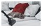 Odkurzacz HOOVER BV60PET011 tradycyjny workowy 700W niebieski