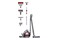 Odkurzacz DYSON Big Ball Absolute 2 tradycyjny bezworkowy 700W szary