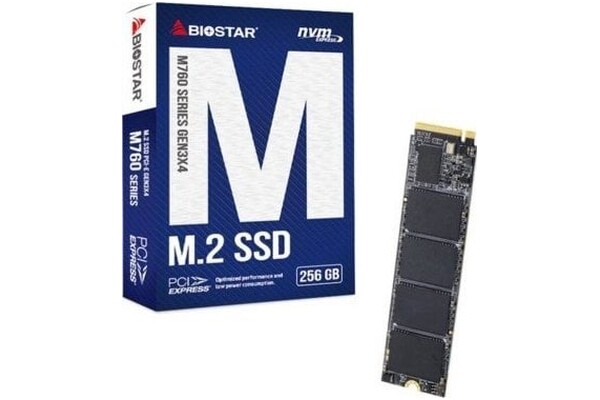 Dysk wewnętrzny BIOSTAR M760 SSD M.2 NVMe 256GB