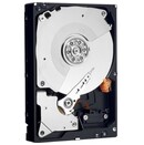 Dysk wewnętrzny WD WDBSLA0040HNC Performance HDD SATA (3.5") 4TB