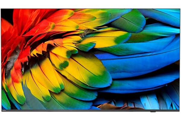 Telewizor Philips 43HFL6214 43" 4K Ultra HD