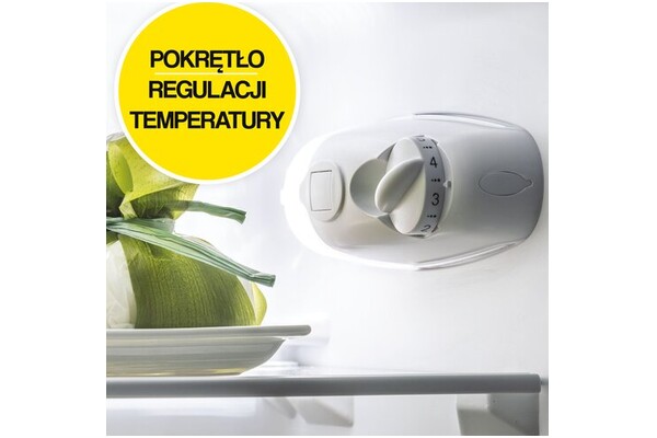 Lodówka Candy CCG1L314EW