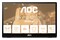Monitor 15.6" AOC 16T3EA czarny