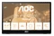 Monitor 15.6" AOC 16T3EA czarny