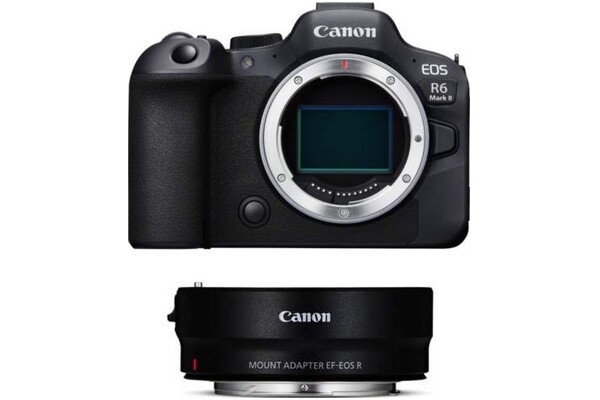 Aparat bezlusterkowy CANON EOS R6