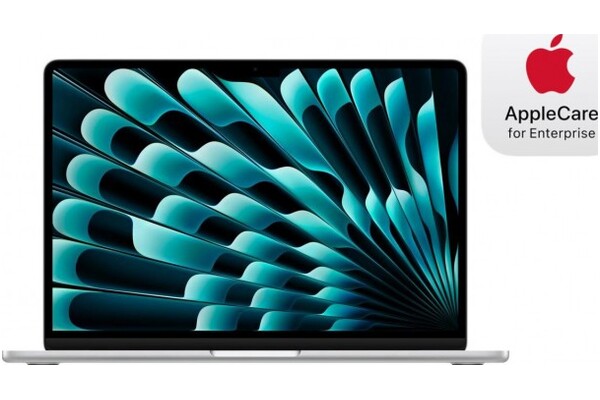 Laptop Apple MacBook Air 13.6" Apple M3 M3 (10 rdz.) 16GB 512GB SSD macOS srebrny