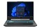 Laptop ASUS TUF Gaming A15 15.6" AMD Ryzen 5 7535HS NVIDIA GeForce RTX 3050 32GB 1024GB SSD M.2 Windows 11 Home