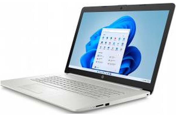 Laptop HP HP 17 17.3" Intel Core i5 INTEL Iris Xe 8GB 256GB SSD M.2 Windows 10 Home