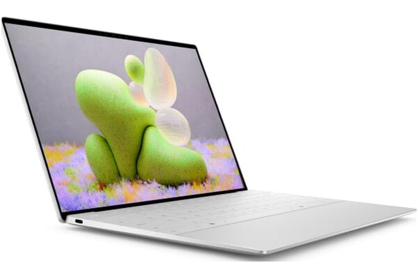 Laptop DELL XPS 13 13.4" Qualcom Snapdragon QUALCOMM Adreno 16GB 512GB SSD M.2 Windows 11 Professional