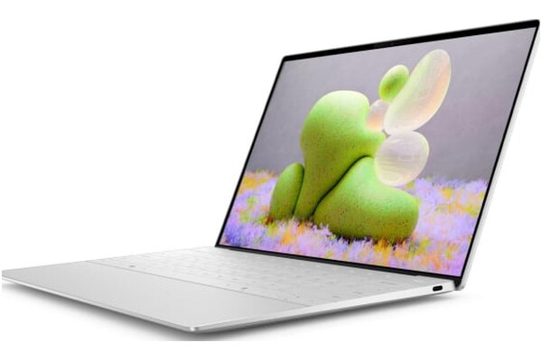 Laptop DELL XPS 13 13.4" Qualcom Snapdragon QUALCOMM Adreno 16GB 512GB SSD M.2 Windows 11 Professional