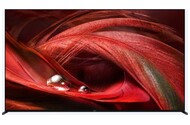 Telewizor Sony XR65X95J 65" 4K Ultra HD