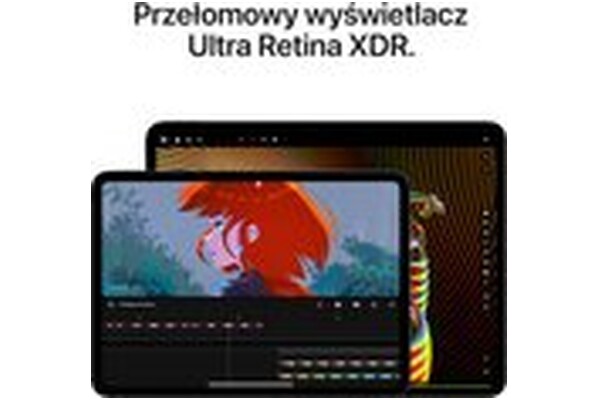 Tablet Apple iPad Pro 11" Apple M4 16GB/2000GB, WiFi, srebrny